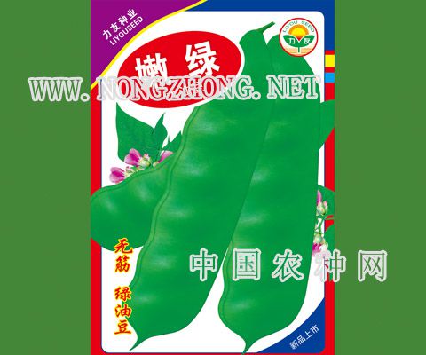 嫩绿大油豆